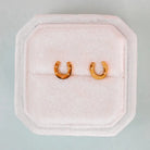 Pierced Co. Lucky You Horseshoe Earring flat lay in box