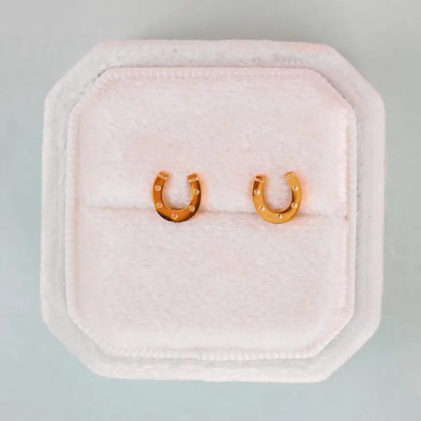 Pierced Co. Lucky You Horseshoe Earring flat lay in box