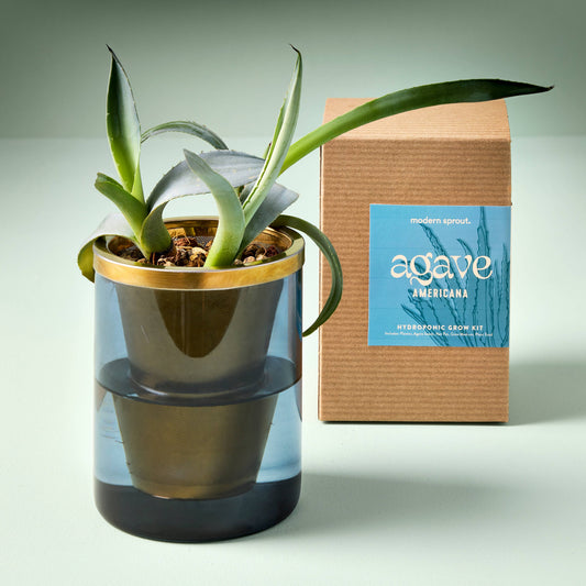 Limited Edition Agave Grow Kit